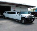 Custom Limo